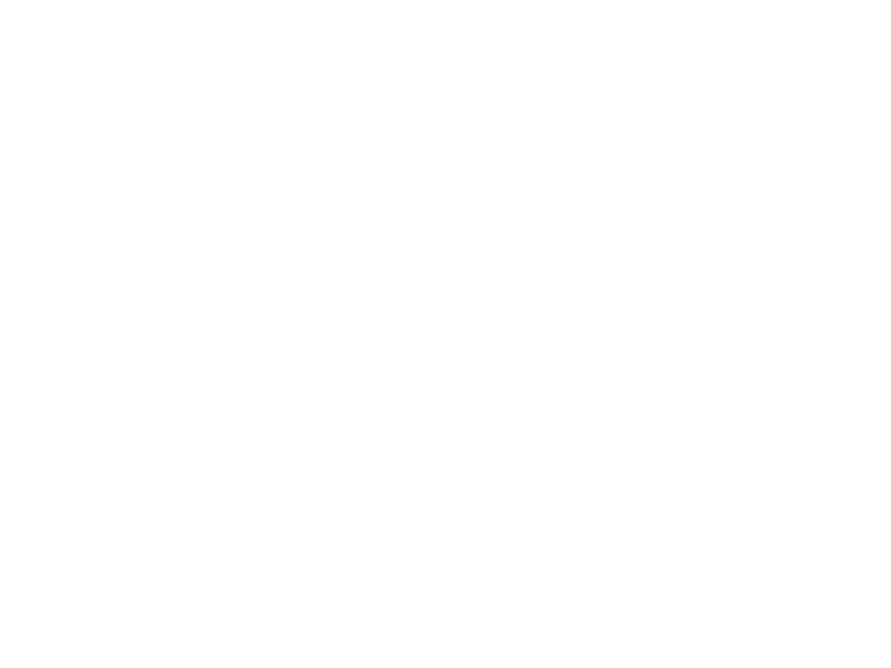 Missing Trekker